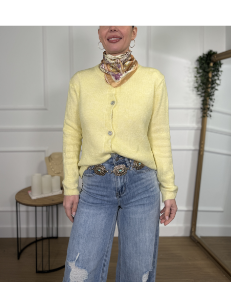 Rebeca de punto en tono amarillo pastel.
